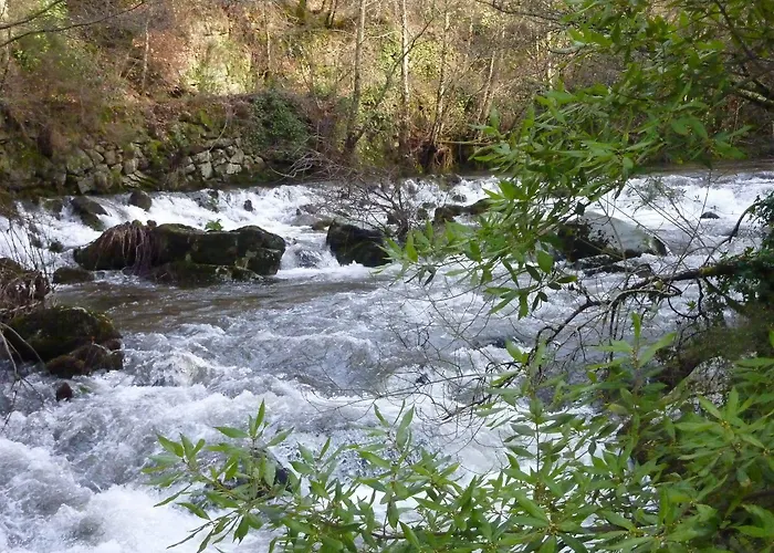 莫斯泰罗德斯克日斯特瓦得拉弗尔斯酒店 住宿加早餐酒店 4*